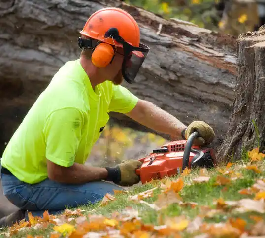 tree services Chamberino